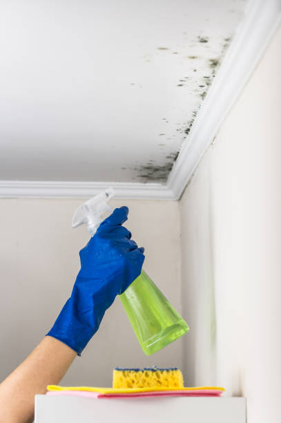 Water Damage Restoration in Palmhurst, TX